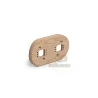 R_plus2-220-1b (1)