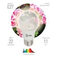 ЗагруженоИзРАЭК 2f80e792fb583db5da145b544f643ed7.jpg