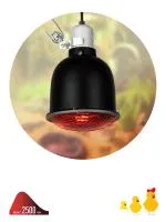 ЗагруженоИзРАЭК 9990e0cf2d7b999cc6c0c224f4f03de4.jpg