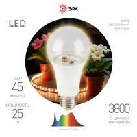 ЗагруженоИзРАЭК ab81c11a0a596ecd1cf2f4e4529fbb1f.jpg