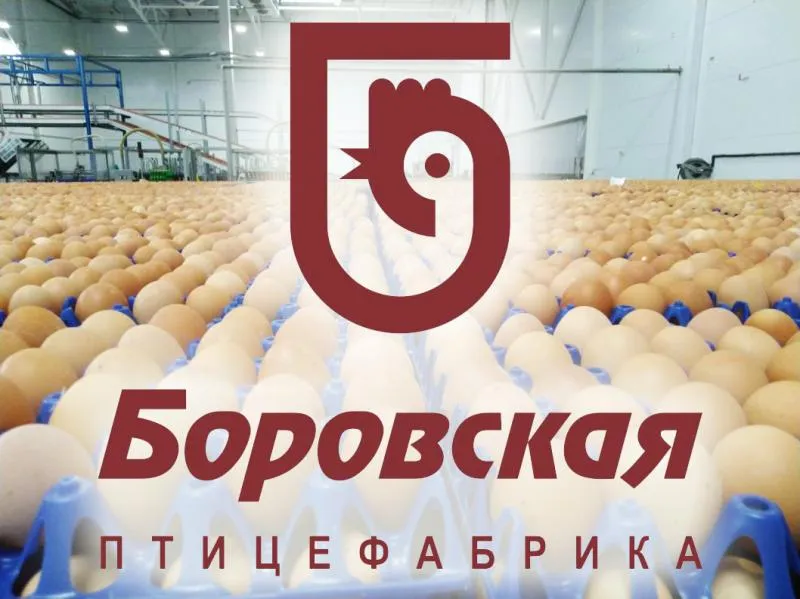 Логистический комлекс птицефабрики "Боровская"