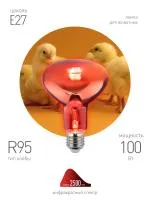 ЗагруженоИзРАЭК de5275711aa77453a9b4d8784bc135d1.jpg