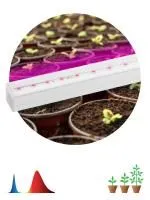 ЗагруженоИзРАЭК 3d9b6d7ea48fb2fee76e9e0c170c961c.jpg