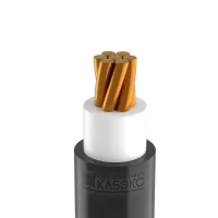 ЗагруженоИзРАЭК a291e6032aedc30e3909b9a509b21c9b.png