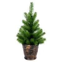 ЗагруженоИзРАЭК 23b89f0253a41a9de696199b0e575f80.jpg