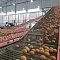 Логистический комлекс птицефабрики "Боровская"