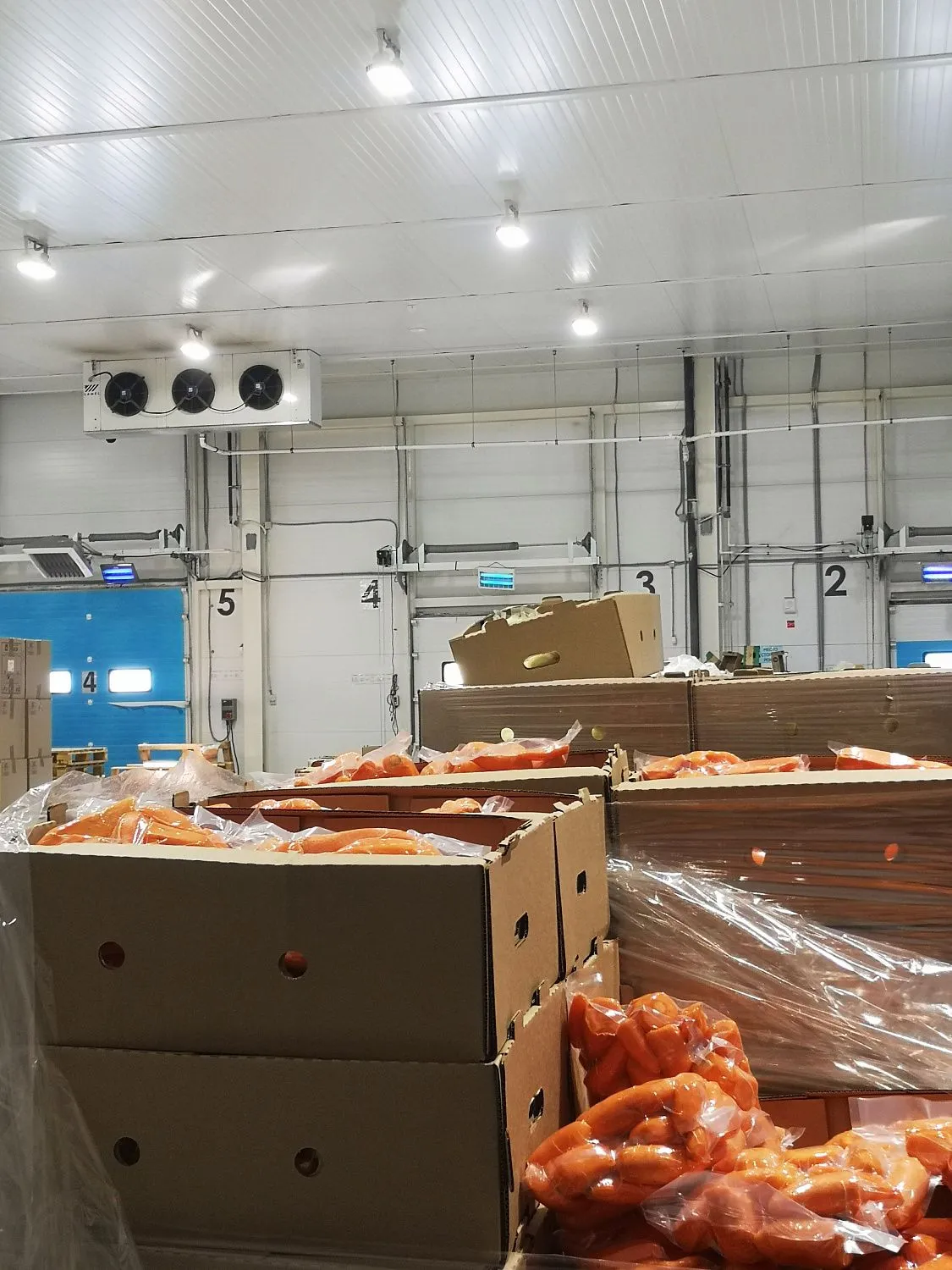 Завод плодоовощных культур "Прованс" - Тюмень