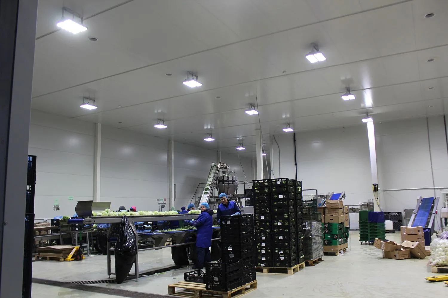 Завод плодоовощных культур "Прованс" - Тюмень