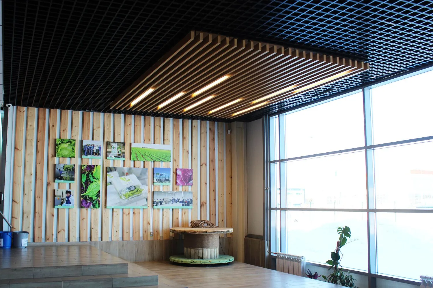 Завод плодоовощных культур "Прованс" - Тюмень