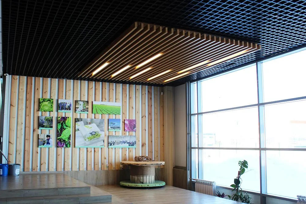 Завод плодоовощных культур "Прованс" - Тюмень