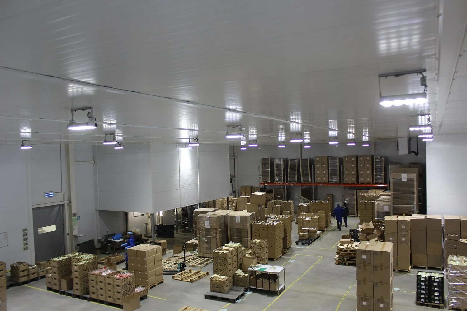 Завод плодоовощных культур "Прованс" - Тюмень